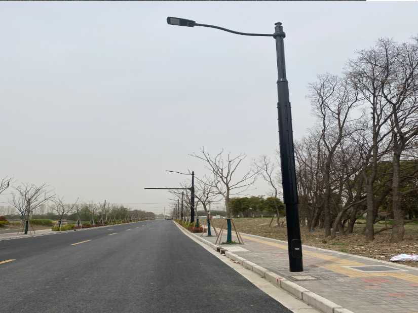 宜城市上海综合杆 太阳能路灯工程